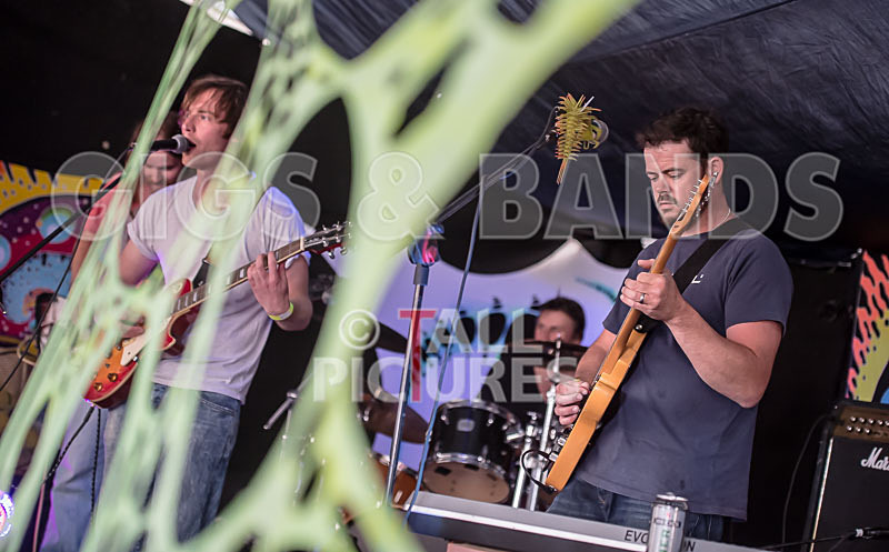 Tantale-181 - TANTALE