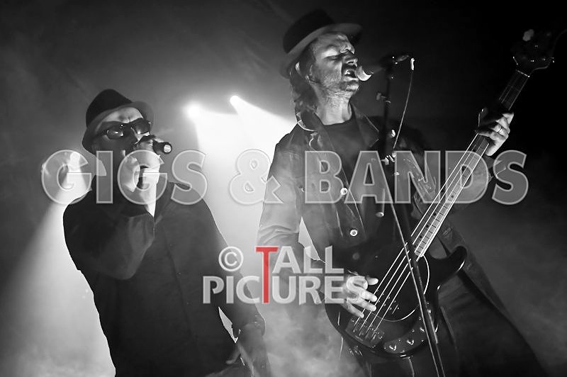 Peppered Ants Legs-32 - PEPPERED ANT LEGS at GREENMAN CHAOS 2009