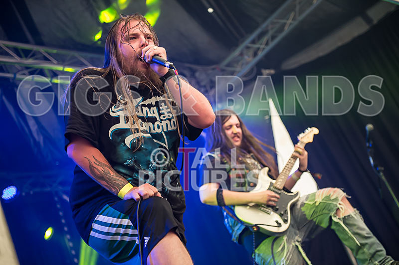 Stone Em All-209 - STONE EM ALL