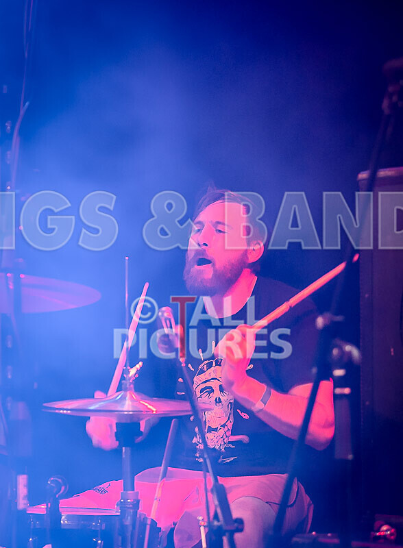 Pigsx7-50 - PIGS PIGS PIGS PIGS PIGS PIGS PIGS
