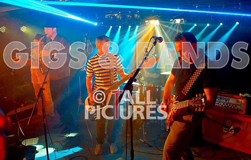 The Risk-160 - THE RISK