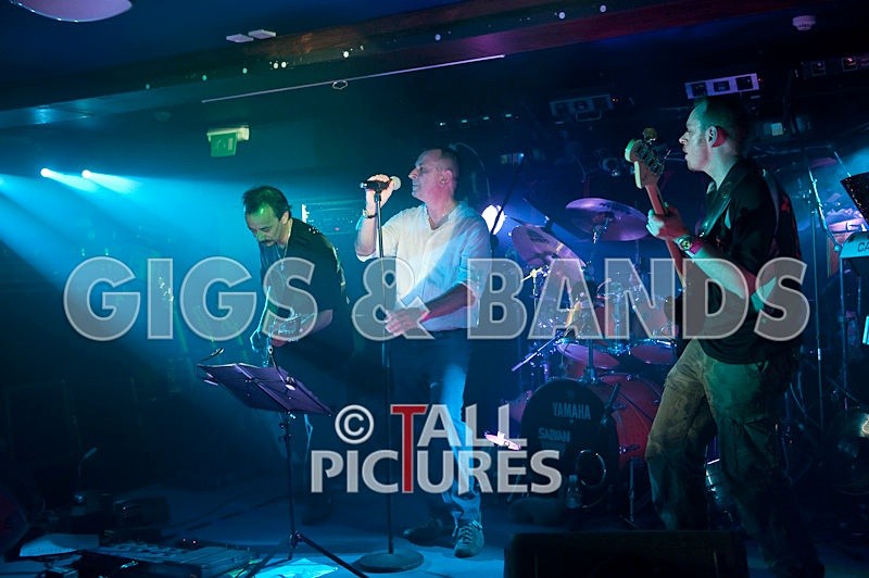 Elysium-65 - ELYSIUM