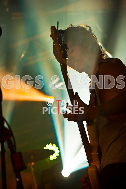 Lizzard Channel-7 - LIZZARD CHANNEL