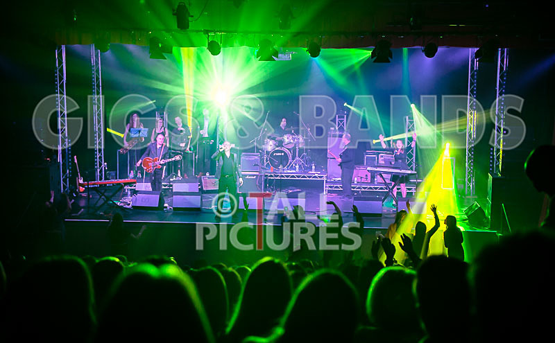Harry Dean Junior and the New Breed-51 - HARRY DEAN JUNIOR AND THE NEW BREED