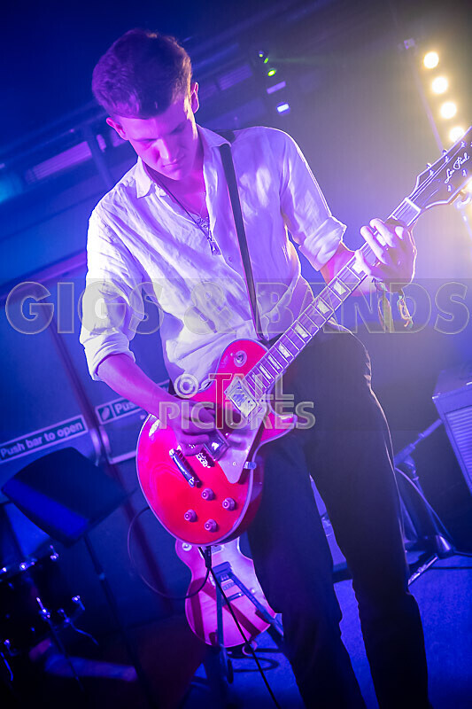 Black Dog-21 - BLACK DOG