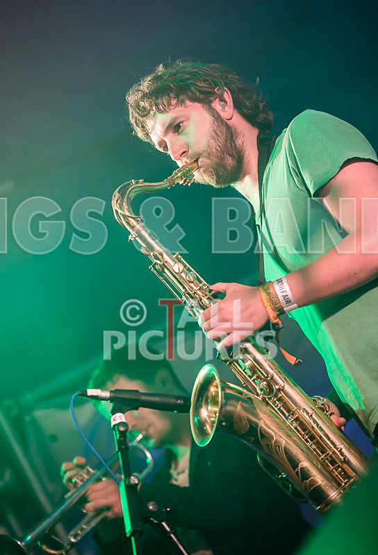 The Mouse Outfit-8 - THE MOUSE OUTFIT