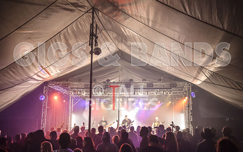 Demise of Sanity-151 - DEMISE OF SANITY