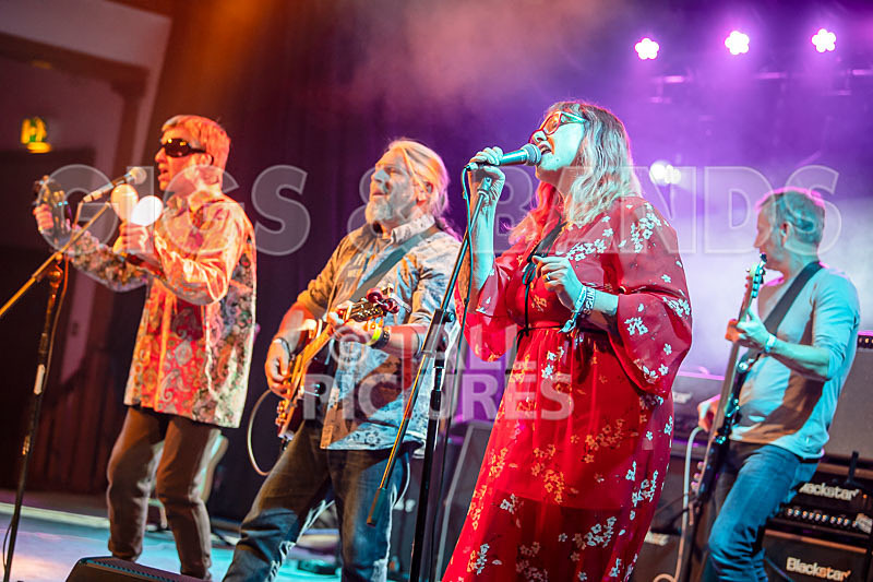 The Sacred Hearts-59 - THE SACRED HEARTS