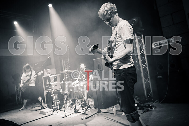 Pigsx7-49 - PIGS PIGS PIGS PIGS PIGS PIGS PIGS