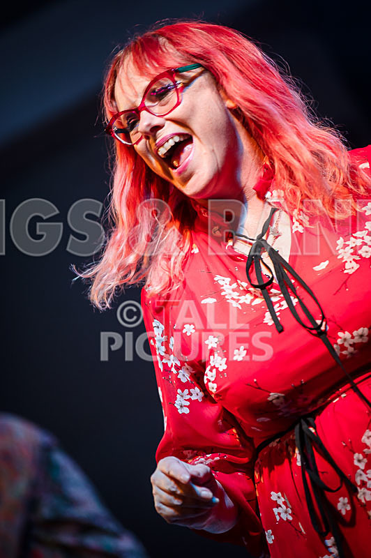 The Sacred Hearts-18 - THE SACRED HEARTS