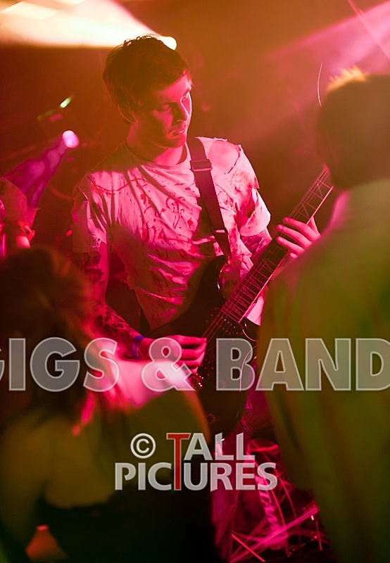 Brutus Stonefist-153 - BRUTUS STONEFIST