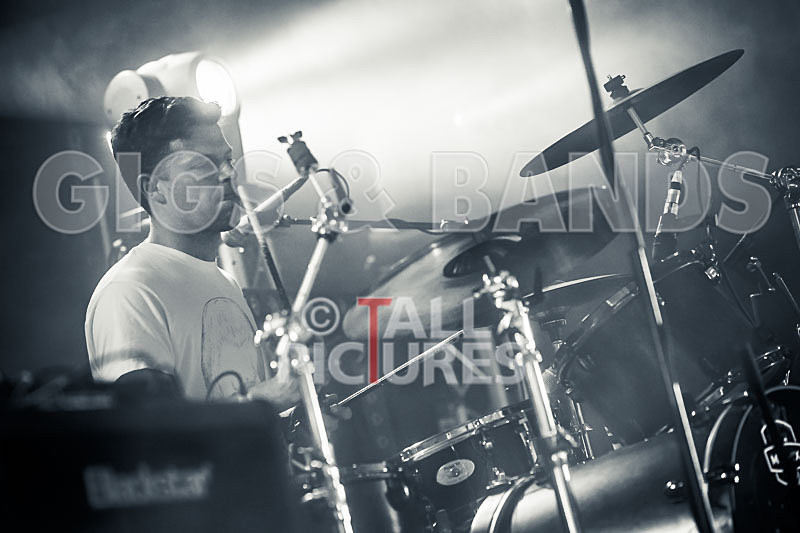 Falenizza Horsepower-75 - FALENIZZA HORSEPOWER