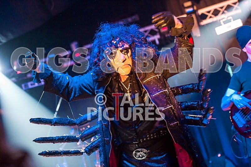 Gallus Cooper-10 - GALLUS COOPER