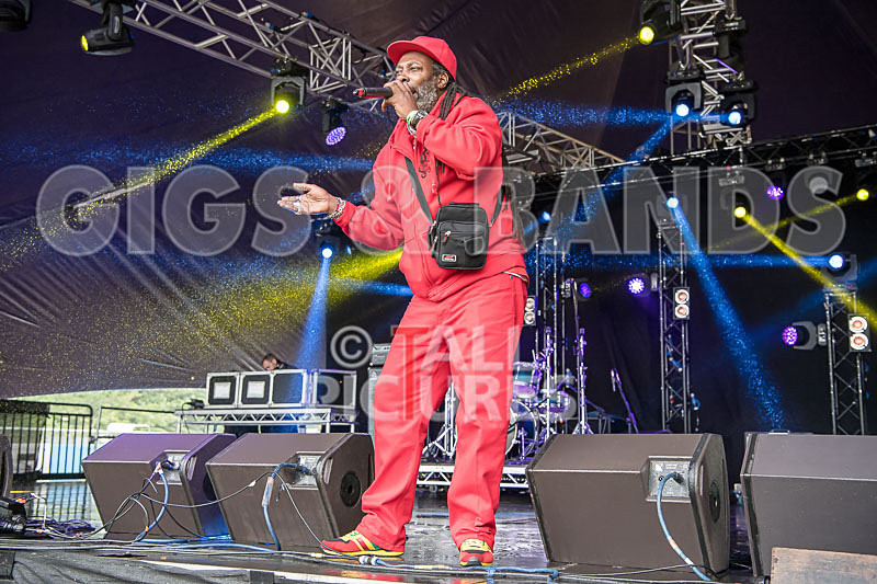 Prince Fatty Soundsystem-11 - PRINCE FATTY SOUNDSYSTEM