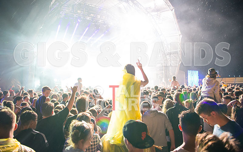 Jersey Live 2016_Scene-65 - JERSEY LIVE 2016_THE SCENE