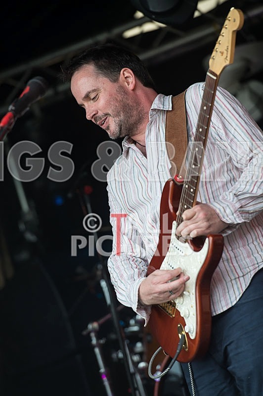 Wild Card-126 - WILD CARD