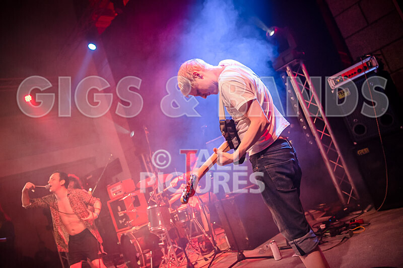 Pigsx7-97 - PIGS PIGS PIGS PIGS PIGS PIGS PIGS