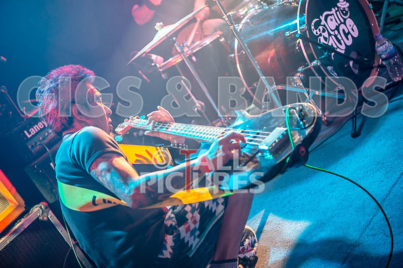 Morllyheads-37 - MORLLYHEADS