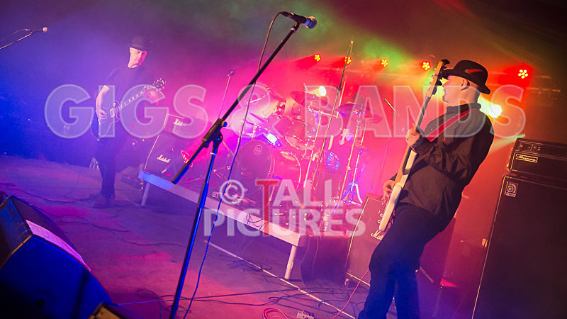 Peppered Ant Legs-154 - PEPPERED ANT LEGS