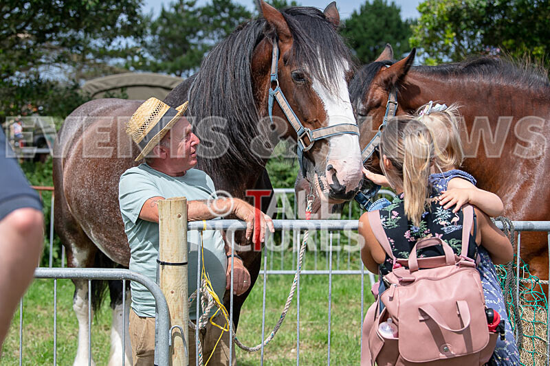 Guernsey Agricultural Show 2021-12 - GUERNSEY AGRICULTURAL SHOW 2021