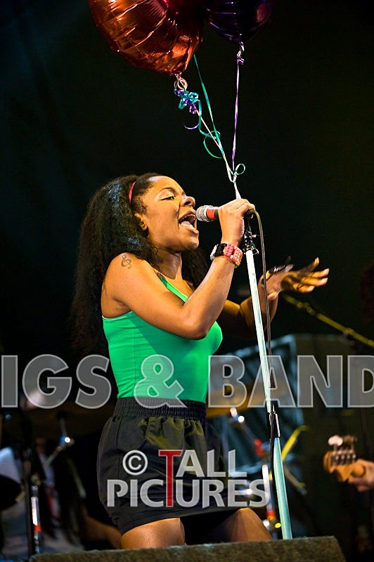 Go Team-5 - THE GO! TEAM