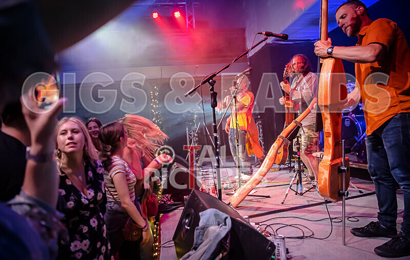 Buffalo Huddleston-623 - BUFFALO HUDDLESTON