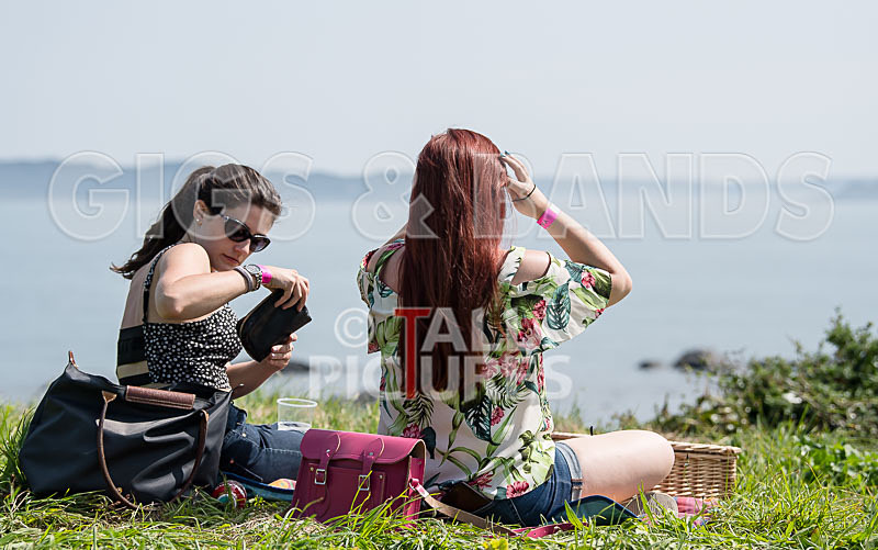 Vale Earth Fair 2017_SCENE-35 - VALE EARTH FAIR 2017_THE SCENE