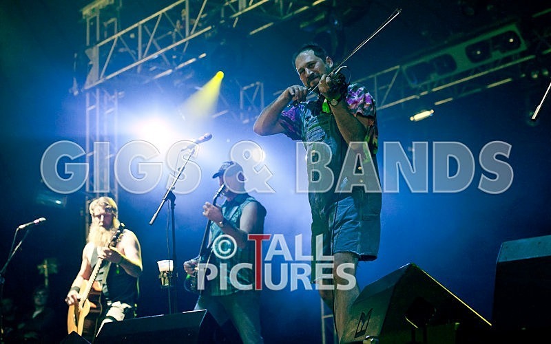 Hayseed Dixie-24 - HAYSEED DIXIE