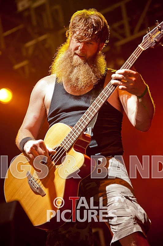 Hayseed Dixie-31 - HAYSEED DIXIE