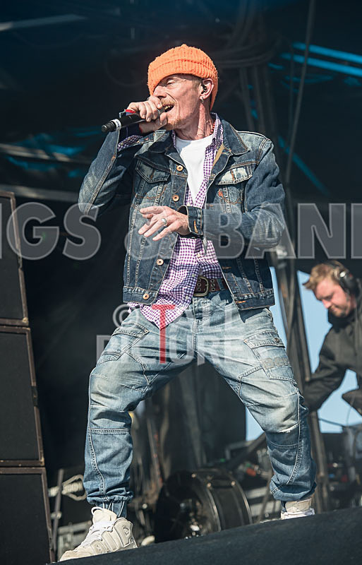 Stereo MCs-24 - STEREO MC's