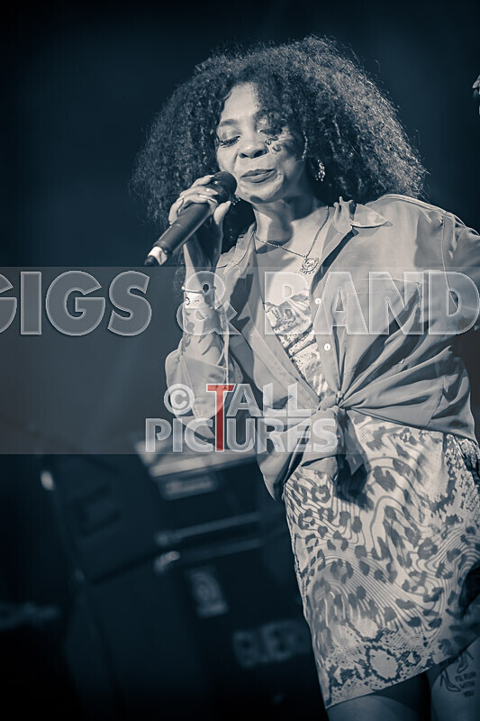 Hollie Cook-14 - HOLLIE COOK