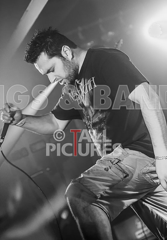 Masticated-11 - MASTICATED