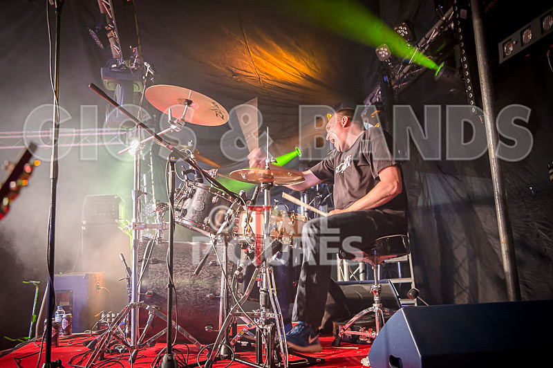 Crazy Babies-81 - CRAZY BABIES