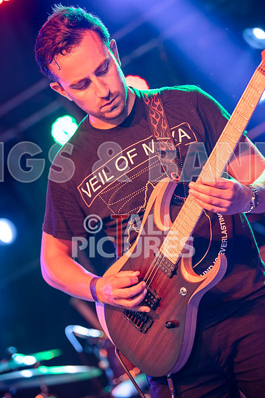 Granite Wolf-40 - GRANITE WOLF