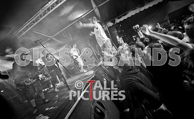 Spunge-16 - [spunge]