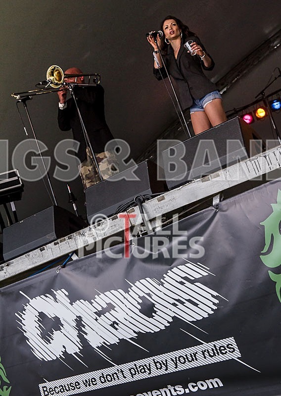 Kitten  The Hip-18 - KITTEN & THE HIP