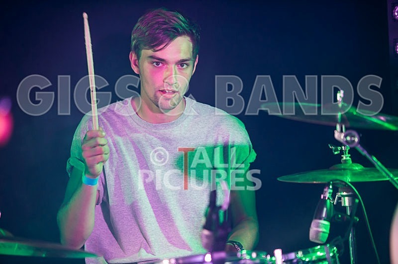 China Aster-99 - CHINA ASTER