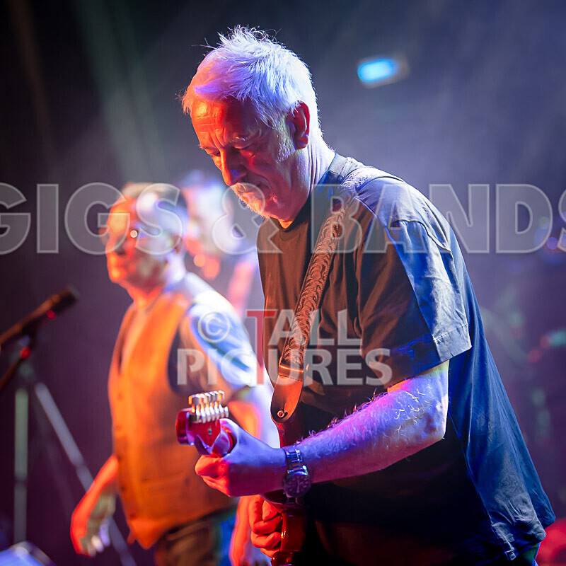 Elysium as Pink Floyd-163 - ELYSIUM as PINK FLOYD