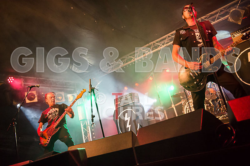 The Electric Shakes-96 - THE ELECTRIC SHAKES