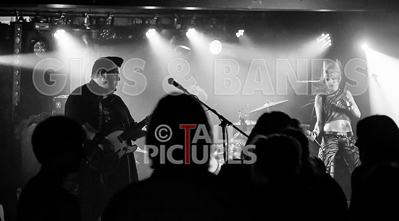 Pussycat and the Dirty Johnsons-108 - PUSSYCAT AND THE DIRTY JOHNSONS