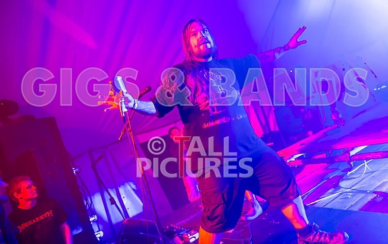 Stone Em All-82 - STONE EM ALL