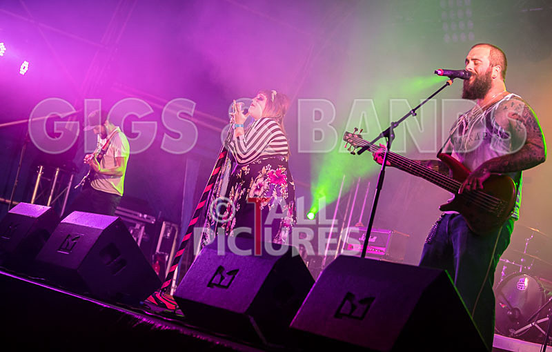 Static Alice-560 - STATIC ALICE