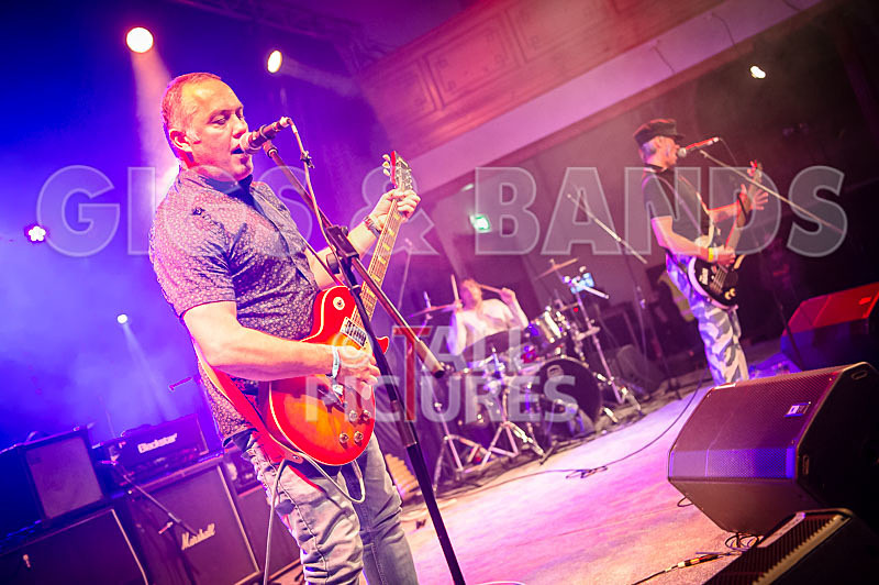 The Risk-384 - THE RISK