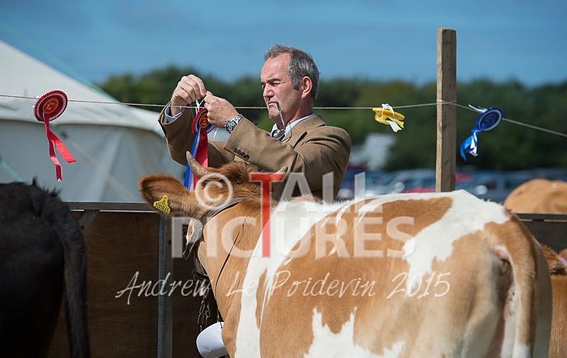 West Show_2014-9 - THE WEST SHOW 2014