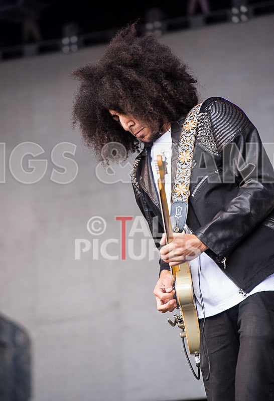 Diversity-39 - DIVERSITY