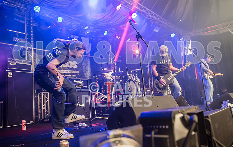 To the Woods-106 - TO THE WOODS