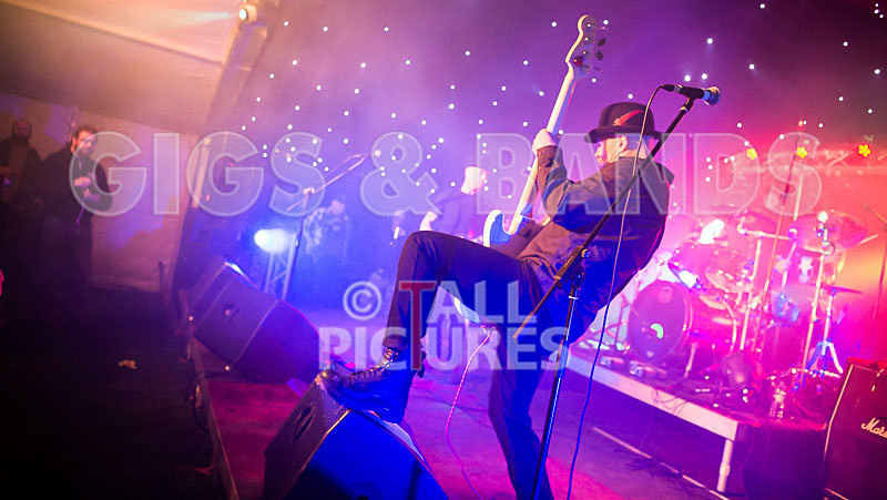 Peppered Ant Legs-168 - PEPPERED ANT LEGS