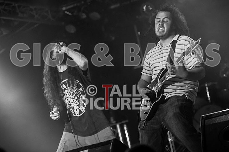 Stan Smith-66 - STAN SMITH