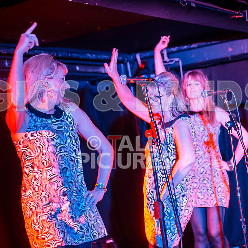 The Blondettes-26 - THE BLONDETTES
