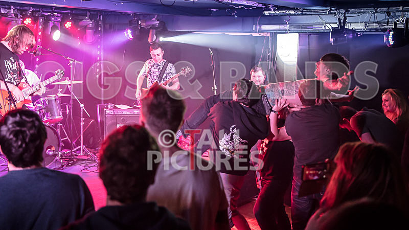 To the Woods-399 - TO THE WOODS